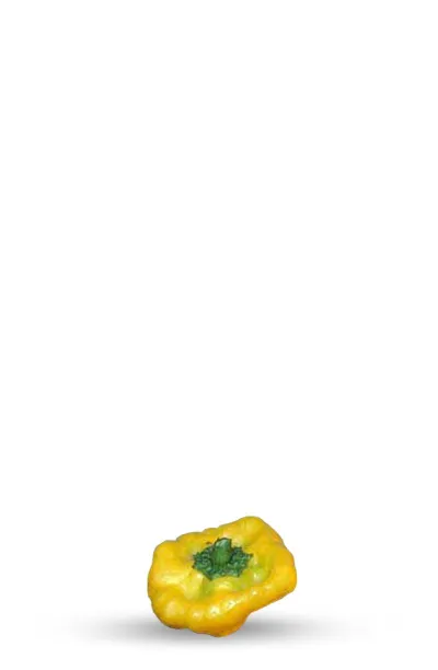 Graines de piment Jamaican Hot Jaune