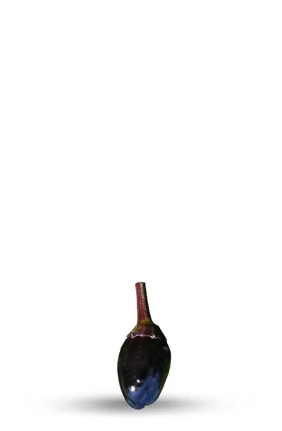 Graines de iment Olive Noir