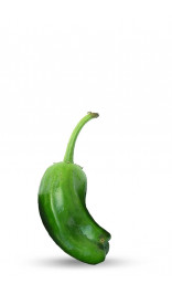 graines de piment de padron | pimientos de padron