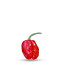 graines de piment aji dulce