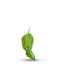 graines de fatali vert