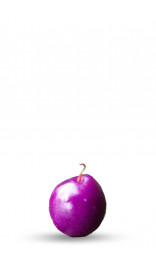graines de piment pretty in purple l purple prince