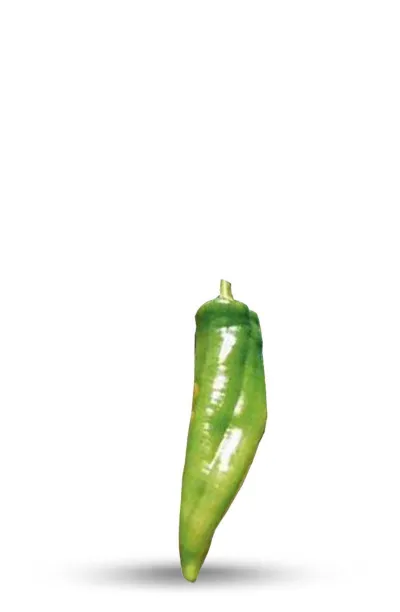 graines de piment numex big jim
