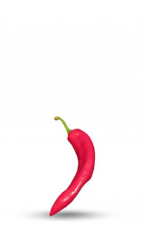 Graines de Piment Ohnivec