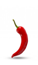 Graines de Piment Malagueta