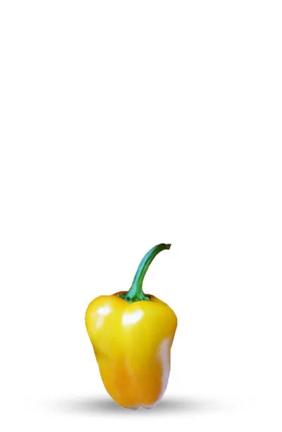 Graines de Piment Bode Yellow