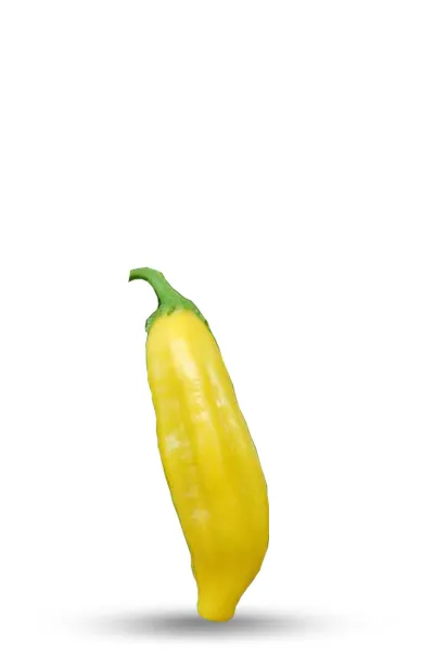 Lemon Drop Chili Pepper Seeds