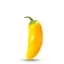 Santa Fe Grande Chili Pepper Seeds