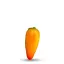 Graines de Jalapeno Numex Pinata