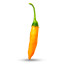 Graines de piment Hot Orange