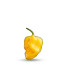graine de piment trinidad scorpion jaune
