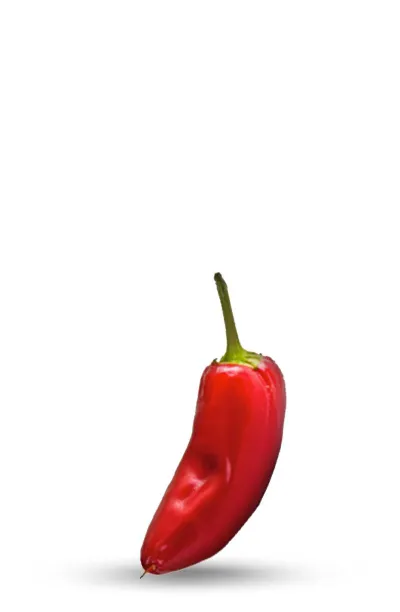 graine de piment fresno