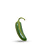 Graines de piment jalapeno
